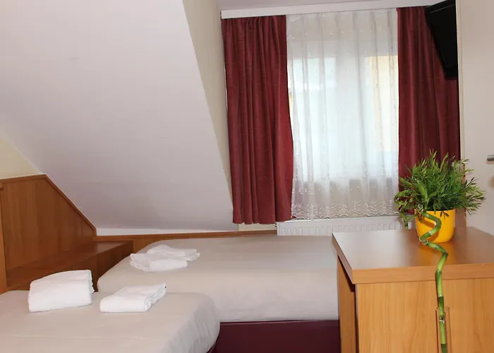 Hotel Altan 3*