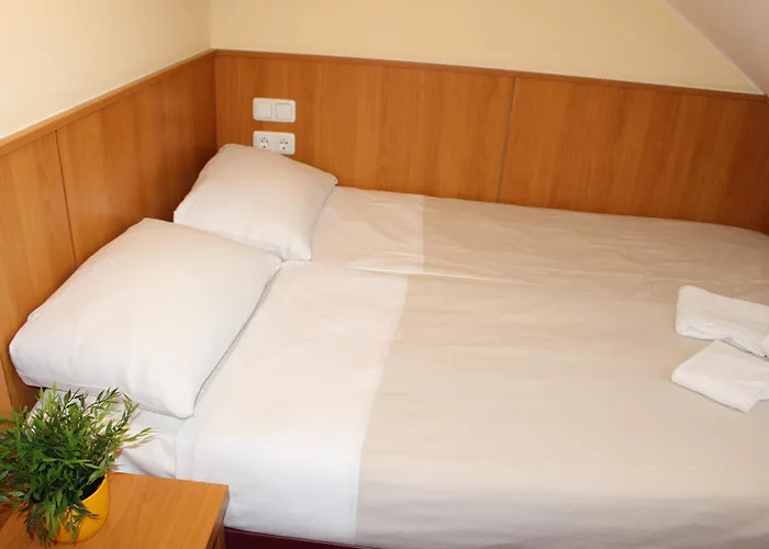 Hotel Altan