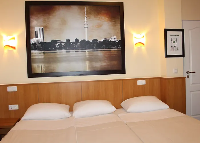 Altan Hotel 3*